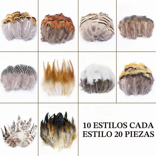 Vista 4 de 200 plumas naturales de 10 estilos surtidos de plumas para atrapasueños y manualidades (10 estilos - 200 piezas)