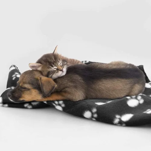 Vista 6 de Comsmart - Manta cálida con estampado de huellas para perros y gatos