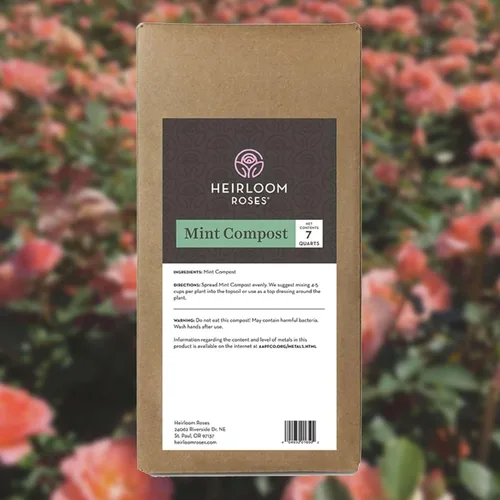 Vista 7 de Heirloom Roses, Get Growing Bundle, kit de plantación y cuidado de rosas y flores, pequeño