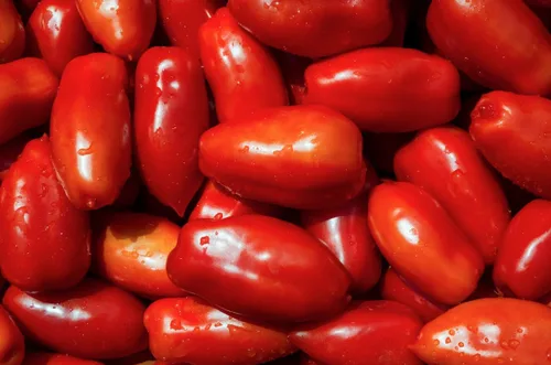 Vista 4 de Semillas de tomate "San Marzano" - Tomate tipo salsa de ciruela grande (Roma) con sabor intenso Semillas tradicionales de Liliana's Garden