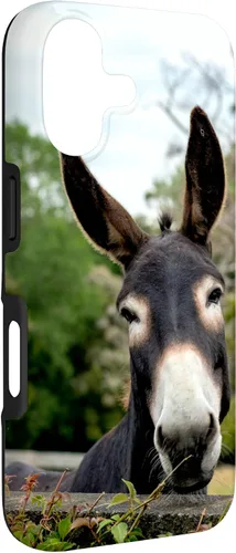 Vista 3 de Funda Donkey para iPhone 17