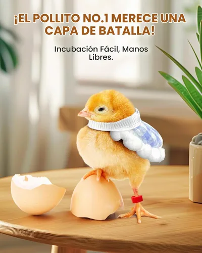 Vista 8 de Incubadora de 12 huevos con giro automático y control de humedad, incubadoras completamente automáticas con vela de huevos, kit educativo