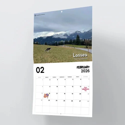 Vista 5 de Calendario 2026 de Perros en Cuclillas en Lugares Hermosos - Regalo Broma Navideño de Intercambio Elefante Blanco