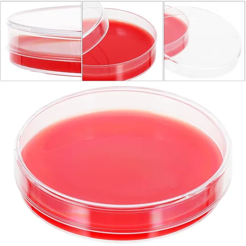 Vista 5 de 10pcs Agar Placas Agar Medio Biológico Determinar Equipo Laboratorio Ciencia y Seguridad