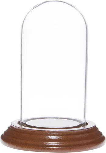 Vista 2 de Plymor Mini cúpula de cristal de 2 x 4 pulgadas (base de chapa de madera negra)