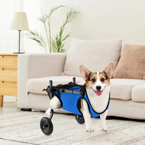 Vista 3 de Adjustable Dog Wheelchair for Back Legs, Lightweight Cart for Small to Medium Dogs, 6-9Kg, Mesh Material, Easy Assembly, Metal Frame