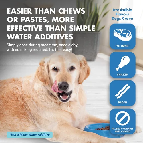 Vista 5 de LIQUID-VET Suplementos avanzados de dientes y encías para perros Cuidado dental para perros Cuidado bucal bucal sarro + placa + gingivitis