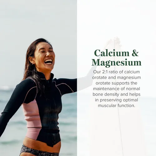 Vista 2 de Global Healing Orotato de calcio y magnesio – Suplemento de fuerza ósea para mujeres y hombres – Ayuda a apoyar dientes fuertes y salud