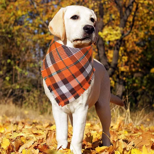 Vista 7 de STMK Bandana de otoño para perro, paquete de 4 bandanas para perros con borlas y bordes para perros pequeños, medianos y grandes