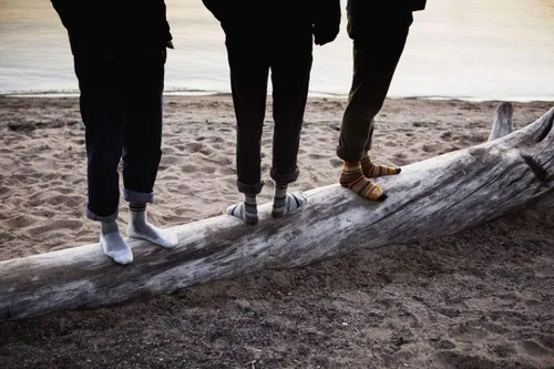 Vista 4 de FARM TO FEET Cokeville - Midweight Tree Crew