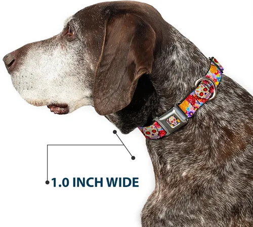 Vista 6 de Collar de perro hebilla de cinturón de seguridad Sugar Skull Starburst blanco multicolor 9 a 15 pulgadas 1.0 pulgadas de ancho
