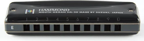 Vista 2 de Otra armónica, negra (HAMMOND HA-20 G)