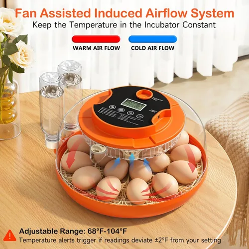 Vista 4 de 18 incubadoras de huevos para incubar huevos, incubadora automática de giro de huevos y control de humedad para eclosionar pollo, pato, codorniz