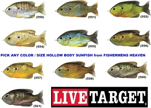 Vista 2 de Señuelo de pesca LiveTarget con forma de pez luna y cuerpo hueco para superficie; anzuelo #4/0, Multi, 3