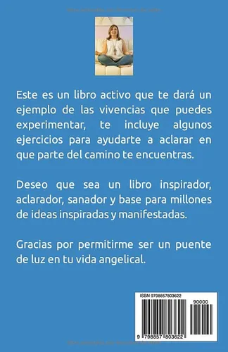 Vista 2 de El viaje angelical Descubre en qué parte del camino te encuentras (Spanish Edition)