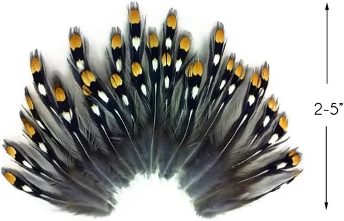 Vista 2 de Moonlight de plumas, plumas sueltas – 10 piezas – Natural plumas de oro Jungle Cock Loose Ojo grande