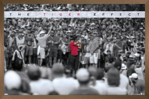 Vista 15 de Trends International Tiger Woods - Póster de pared con efecto tigre, 14.725 x 22.375 pulgadas, versión enmarcada de madera de granero Versión