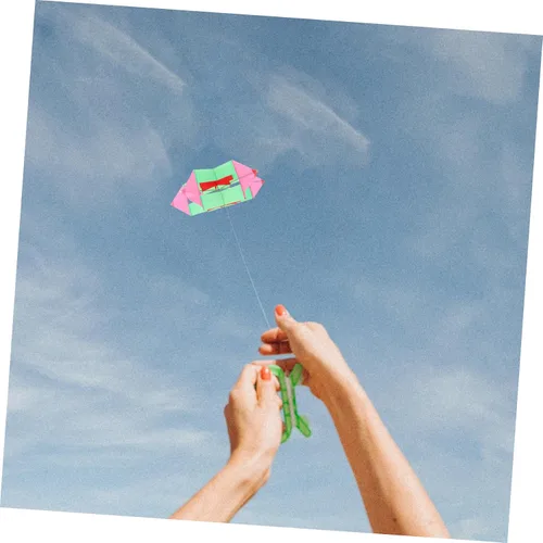 Vista 4 de Homoyoyo Diversión al aire libre deportes hexágono cometa flor juguete cometa para niños y niñas adultos tela segura fibra de vidrio construcción al