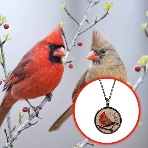 Vista 6 de Lola Bella Gifts and Spirit Lala - Collar cardenal con parte trasera Our Love Never Dies and Red Feathered Soul Poem Card Caja de regalo Duelo, Metal