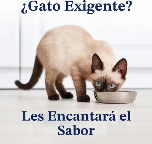 Vista 5 de Solid Gold Comida Húmeda Paté Sabor Festín - Paquete de Muestra de 3 Unidades - Comida enlatada para gatos hecha con pollo real - Sin granos