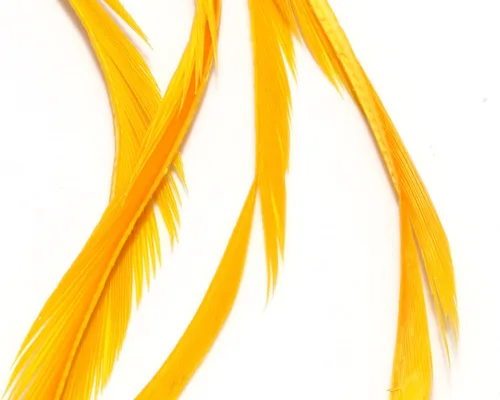 Vista 14 de Hareline Fly Tying Stripped Goose Biots – Natural Goose Biots for Fly Tying Nymph Bodies, Tails & Wings