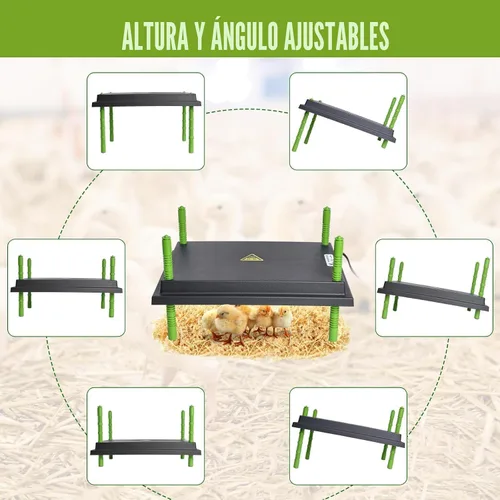 Vista 7 de Placa calefactora para pollitos, placa calefactora más cálida de 12 x 16 pulgadas para pollitos con altura ajustable, placa de calefacción