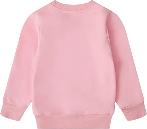 Vista 61 de Sudaderas para niñas pequeñas, cuello redondo, sin botones, de manga larga, para invierno, casual, ropa 2T-7T, Dinosaurio