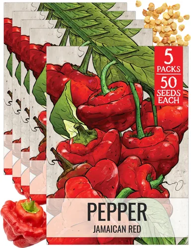 Vista 91 de Seed Needs - Semillas de pimiento arcoíris para plantar verduras, 1 paquete