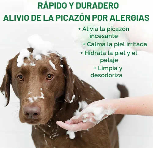 Vista 3 de Vet's Best, Champú de Perros para la Picazón Alérgica, 16 onzas