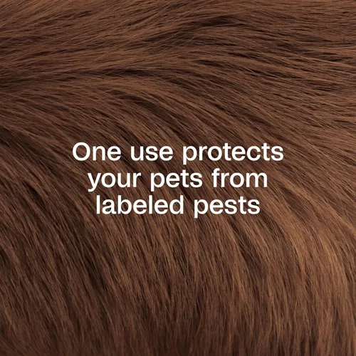 Vista 3 de ADAMS Plus - Dip de pulgas de piretrina para perros y gatos, mata y repele pulgas, garrapatas, piojos, mosquitos, mosquitos y moscas, para perros