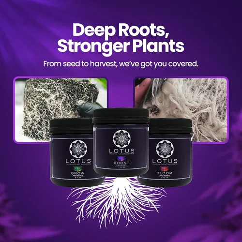 Vista 5 de Lotus Nutrients Kit de iniciación (Bloom, Boost and Grow) – Nutrientes vegetales más avanzados y potenciador de floración – Fertilizante vegetal