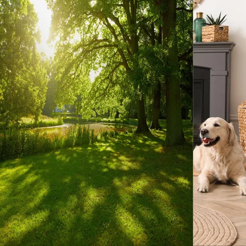 Vista 10 de Película decorativa de privacidad para ventana, control de calor, bloqueo solar, protección UV, diseño de bosque de abedul, adherencia estática