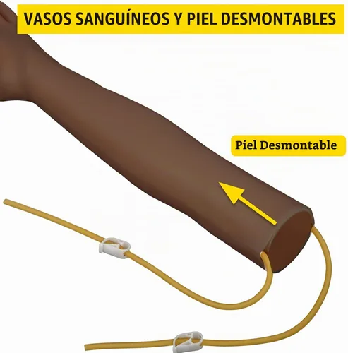 Vista 4 de Kit de práctica IV VEVOR Kit de práctica de flebotomía con piel oscura, kit de práctica de venopunción Kit de brazo modelo de aprendizaje