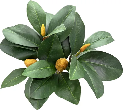 Vista 29 de PASYOU Planta artificial de Aglaonema, plantas falsas de Codiaeum Variegatum, 2 unidades, arbustos de plástico de hoja perenne de magnolia