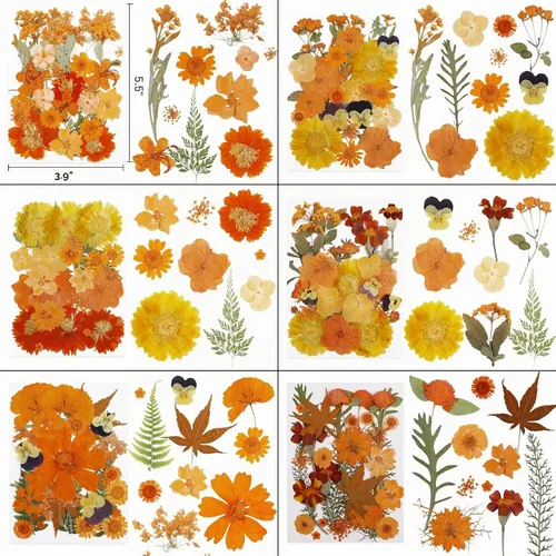 Vista 2 de 350 piezas de flores secas de otoño para manualidades, flores secas