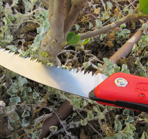 Vista 8 de TABOR TOOLS Sierra plegable con hoja curvada de 8 pulgadas y mango de agarre resistente, sierra de mano para podar árboles, recortar ramas, acampar