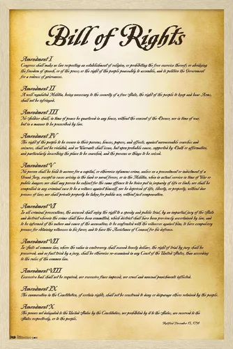 Vista 7 de Trends International The United States of America - Póster de pared de Carta de Derechos, 14.725 x 22.375 pulgadas, versión enmarcada de madera