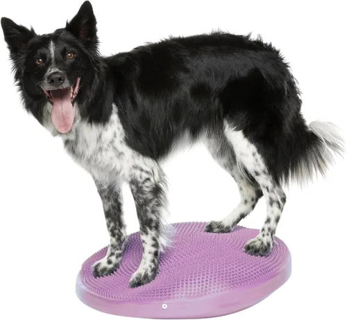Vista 11 de FitPAWS® Disco de equilibrio para perros, 14 pulgadas, azul, equipo de ejercicio para perros, herramienta de entrenamiento para fuerza, núcleo