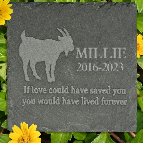 Vista 8 de Regalo de piedra conmemorativa para mascotas, lápida conmemorativa de jardín, marcador de tumba de toro, lápida de condolencia, regalo personalizado