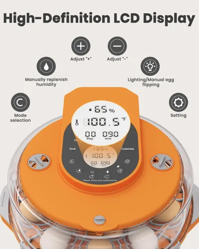 Vista 9 de Incubadora de 15 huevos con recarga lateral de agua, control automático de humedad, girador automático de huevos, temperatura ajustable, vela
