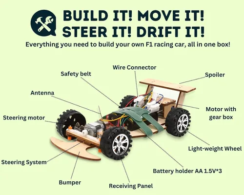 Vista 2 de Kit de ciencia de madera con control remoto inalámbrico R/C de carreras F1 para construir (paquete de carreras de 2), kit de proyecto científico