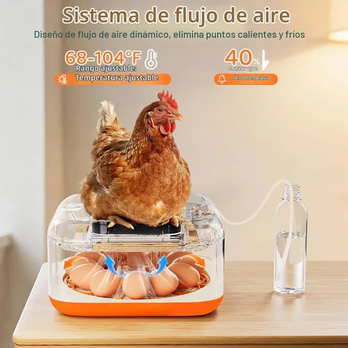 Vista 6 de Incubadoras para incubar huevos Incubadora automática de huevos con control de temperatura y pantalla de humedad, capacidad de 12 huevos para pollo