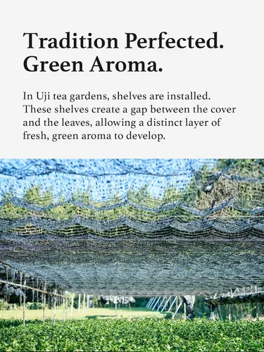 Vista 9 de Polvo Hojicha de HAYASHIYA, Uji de Kyoto, Polvo de Té Verde Tostado Japonés para Latte, Bajo en cafeína (60 g / 2.1 oz)