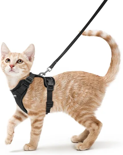 Vista 42 de rabbitgoo Cat Harness and Leash Set, Escape Proof Vest, XXS, Berry Pounce Soft Breathable Mesh, No-choke Adjustable Fit, Snap Buckles, Sturdy