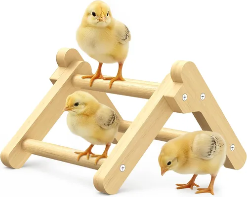Vista 9 de Perca plegable de pollo, estable y sin montaje, perca de pollo para entrenamiento de pie, 12.44 x 11.02 x 7.44 pulgadas, juguetes para pollitos