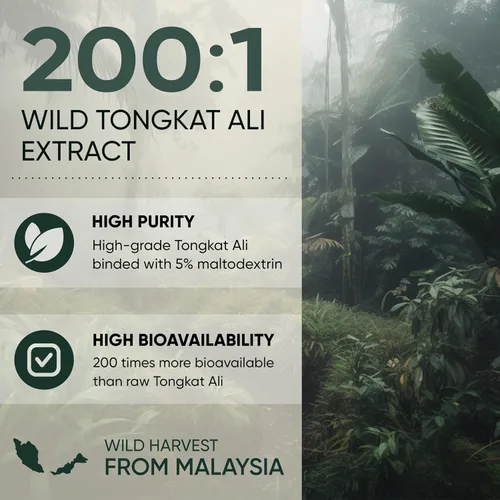 Vista 4 de Jungle Powders Paquete de polvos herbales - Polvo de Shilajit, polvo de Tongkat Ali para hombres, polvo de extracto de hormigas negras, suplemento