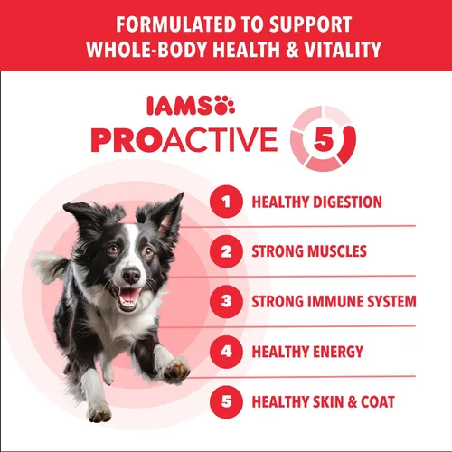 Vista 2 de IAMS Proactive Health Minichunks - Alimento seco para perros, cordero