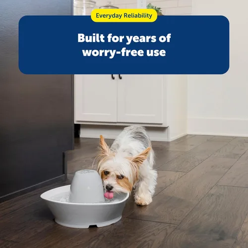 Vista 7 de PetSafe Fuente de cerámica para mascotas, para gatos y perros pequeños, capacidad de agua de 60 onzas, flujo de agua silencioso, ideal para mascotas