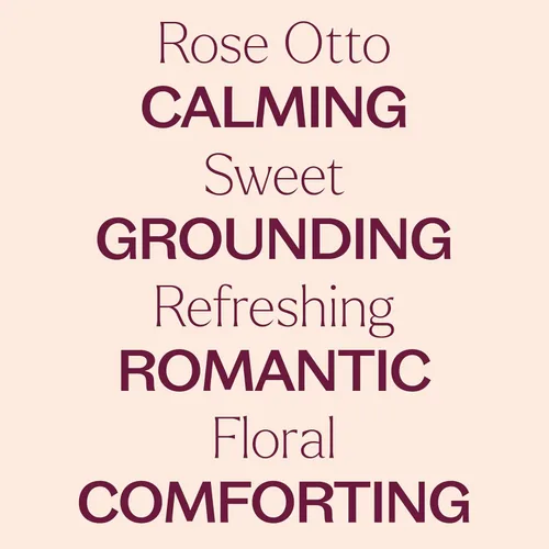 Vista 4 de Plant Therapy Aceite esencial Rose Otto 5 mL (1/6 oz) 100% puro, sin diluir, aromaterapia, cuidado de la piel, relajante y romántico aroma