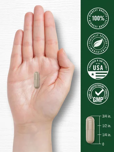Vista 7 de Carlyle Panax Ginseng y Ginkgo 120 Cápsulas Vegetarianas Suplemento sin OMG y sin gluten
